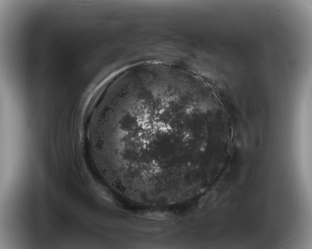 X0000086240247200704051225