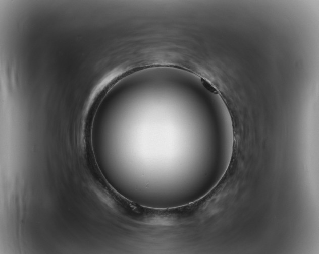 X0000086240248200704051225
