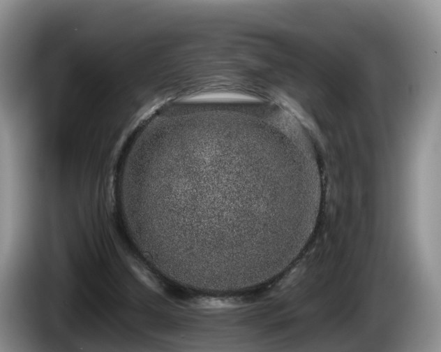 X0000086240250200704051225