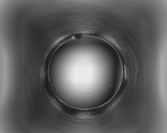 X0000086240252200704051225