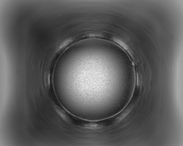 X0000086240253200704051225