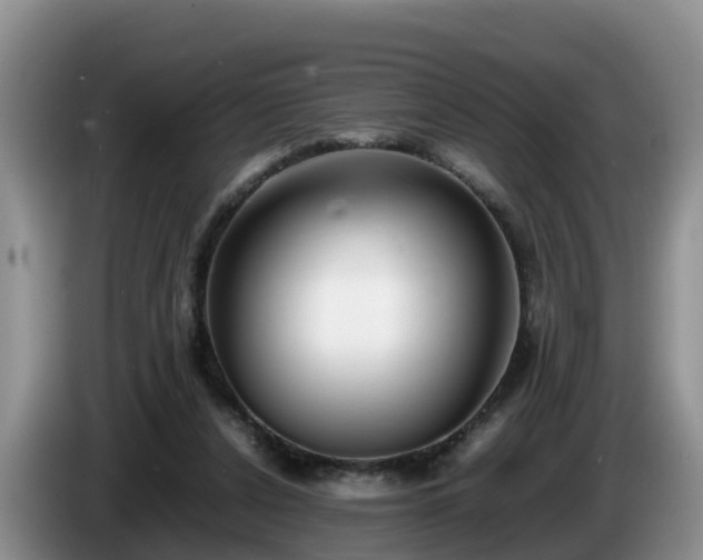X0000086240256200704051225