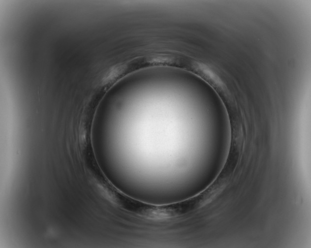 X0000086240261200704051225