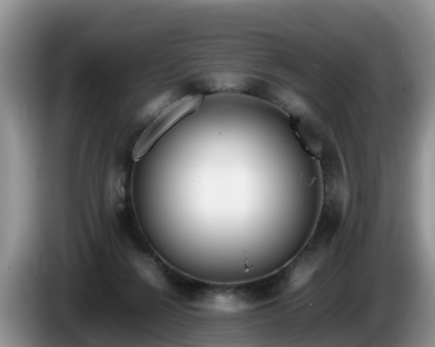 X0000086240264200704051225