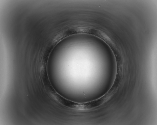 X0000086240265200704051225