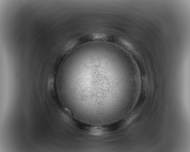 X0000086240269200704051225