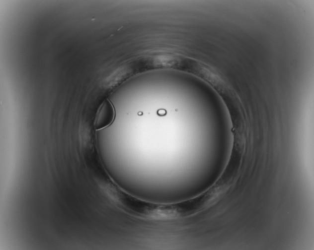 X0000086240270200704051225