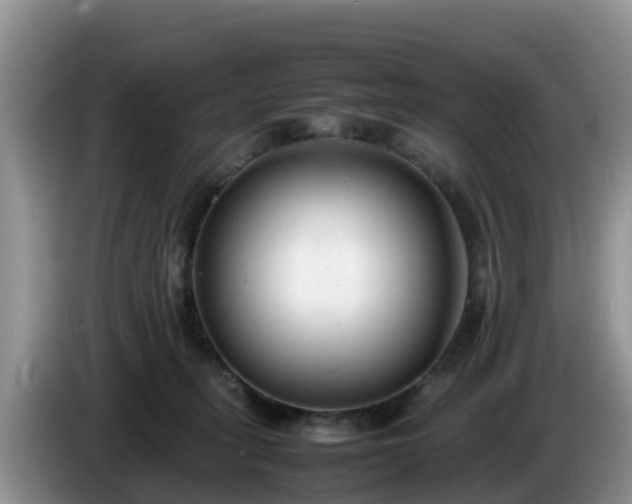 X0000086240275200704051225