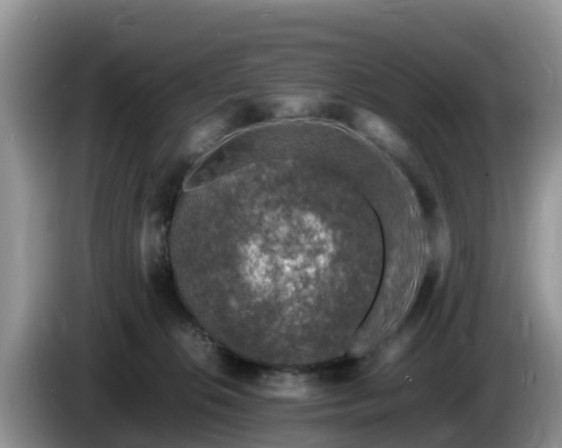 X0000086240276200704051225