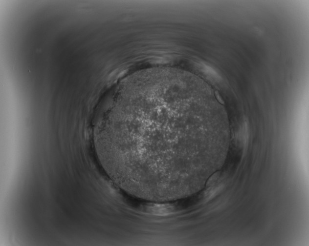X0000086240277200704051225