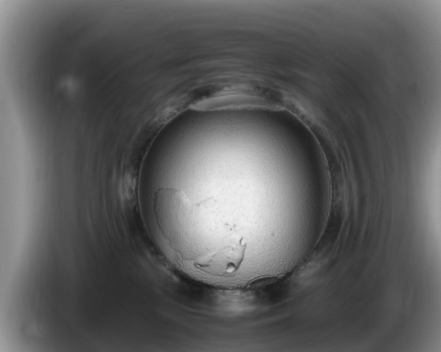 X0000086240281200704051225