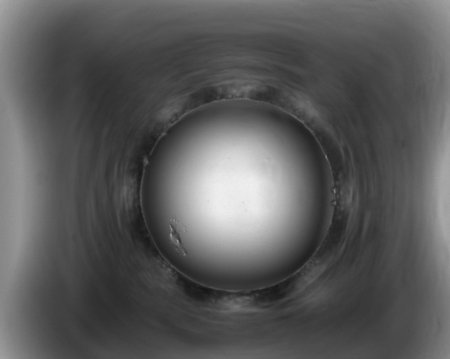 X0000086240283200704051225