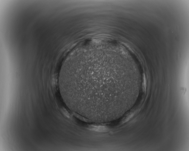 X0000086240284200704051225