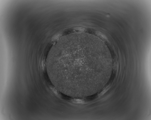 X0000086240285200704051225