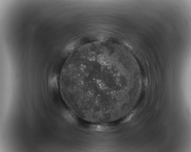 X0000086240286200704051225