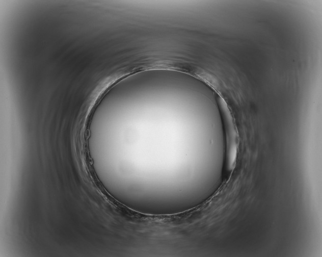 X0000086240289200704051225