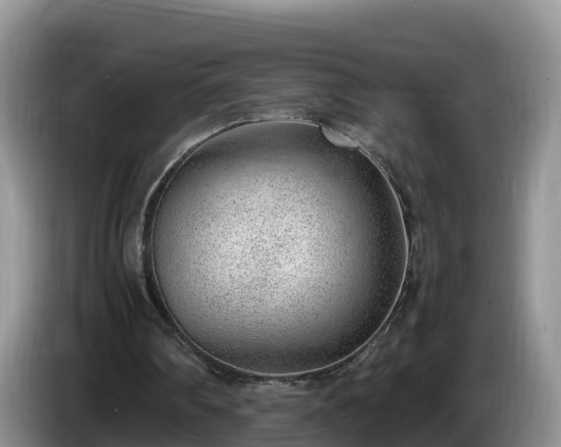 X0000086240290200704051225