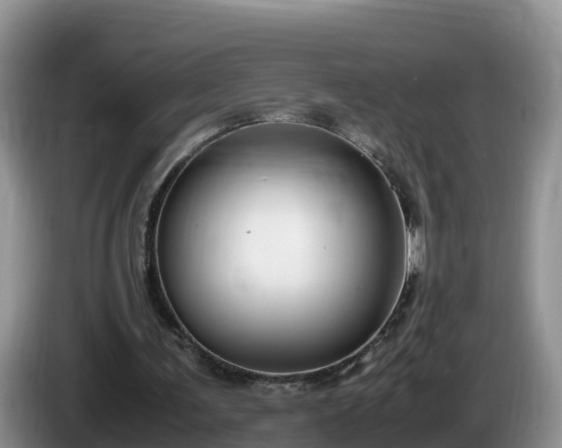 X0000086240291200704051225