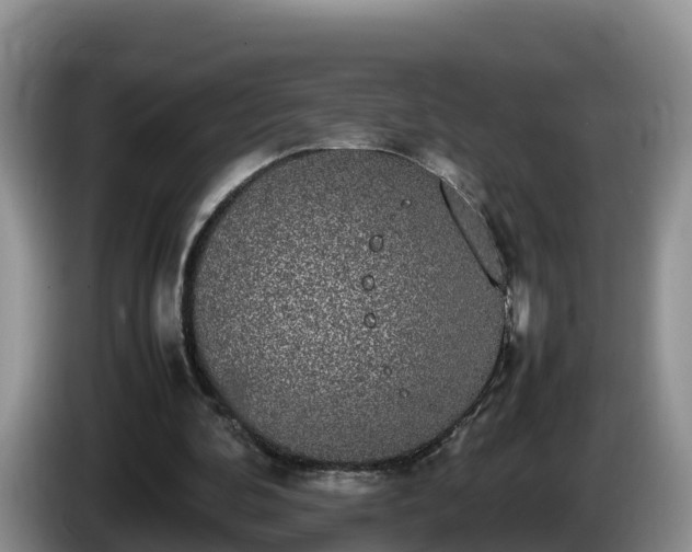 X0000086240292200704051225