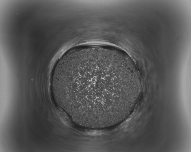 X0000086240293200704051225