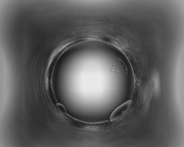 X0000086240294200704051225