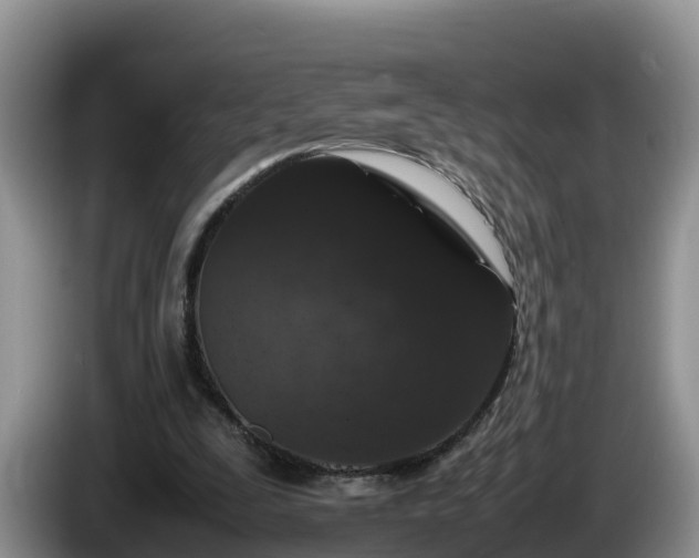 X0000086240295200704051225