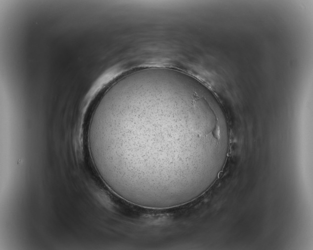 X0000086240296200704051225
