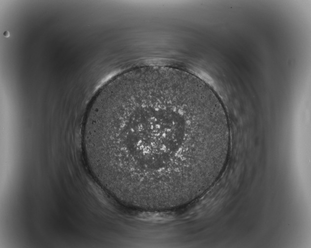 X0000086240297200704051225