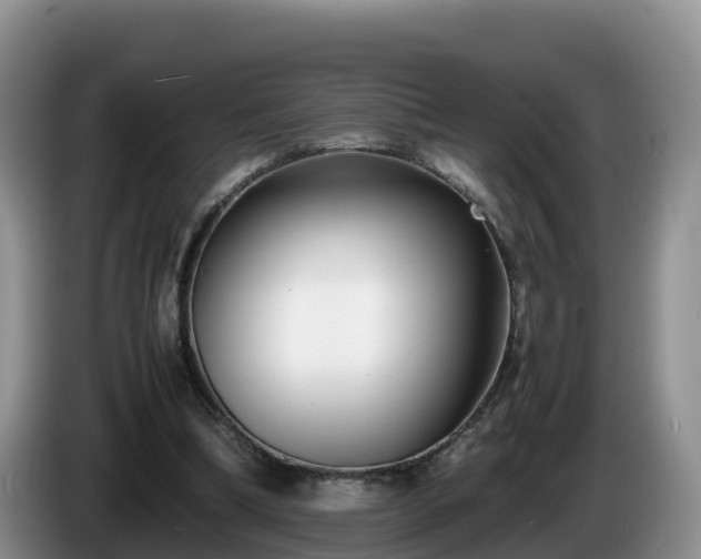 X0000086240298200704051225