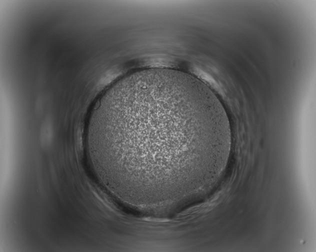 X0000086240299200704051225