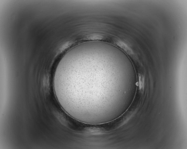 X0000086240300200704051225