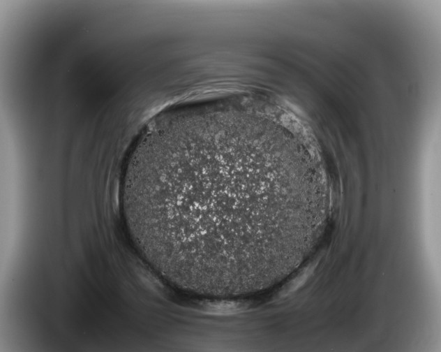 X0000086240301200704051225