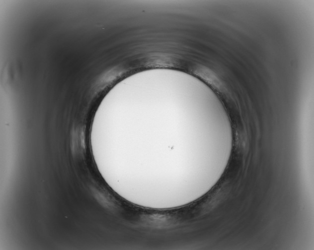 X0000086240302200704051225