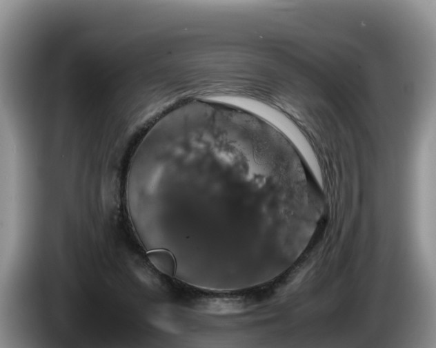 X0000086240303200704051225