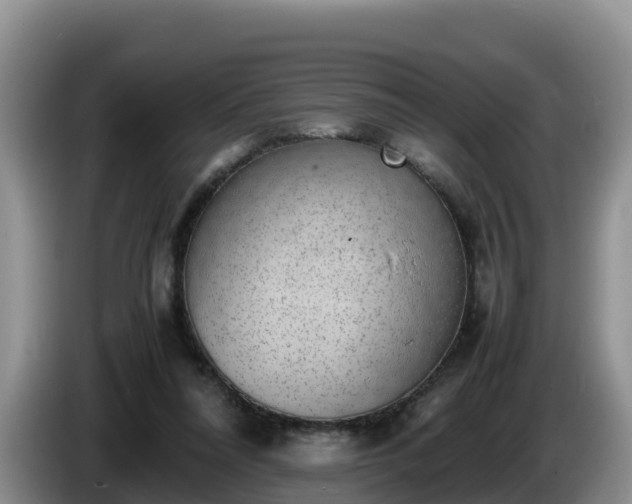 X0000086240304200704051225