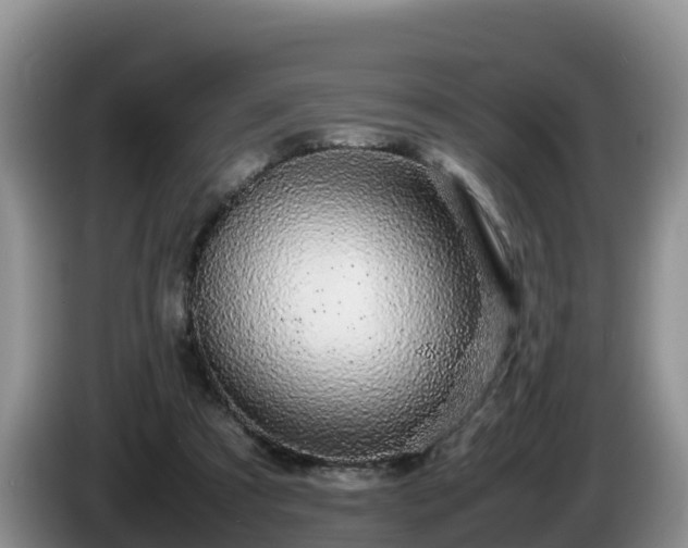 X0000086240305200704051225