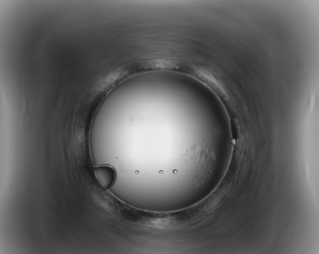 X0000086240306200704051225