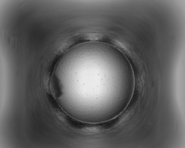 X0000086240307200704051224
