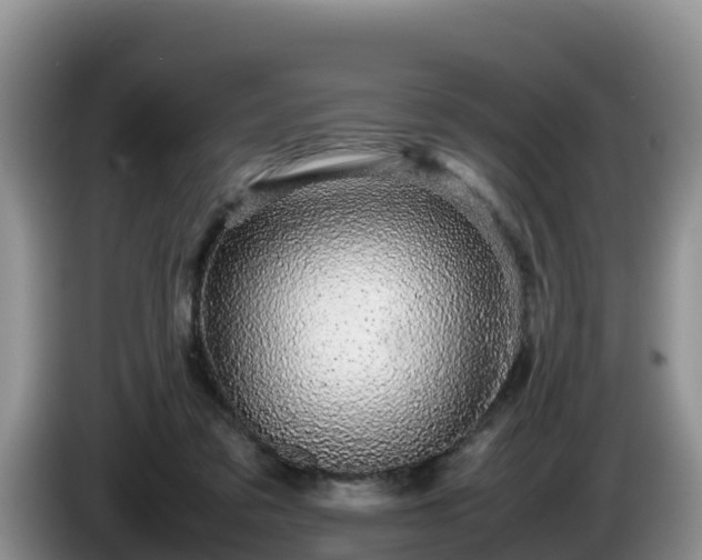 X0000086240309200704051224