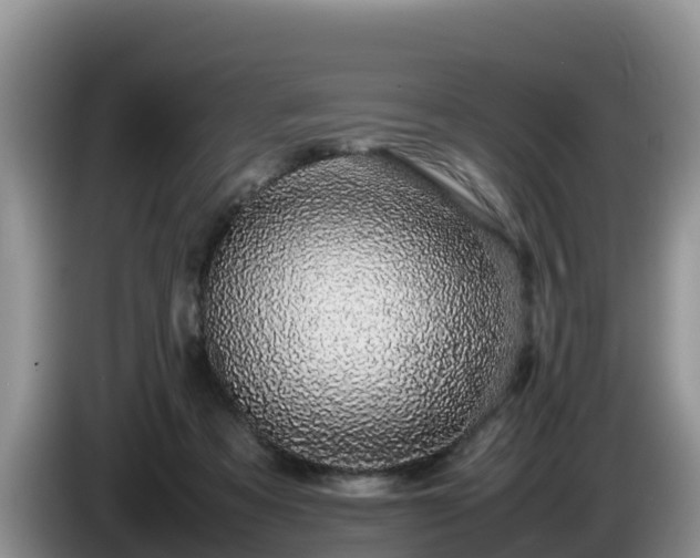 X0000086240313200704051224