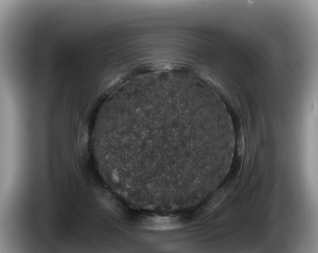 X0000086240314200704051224