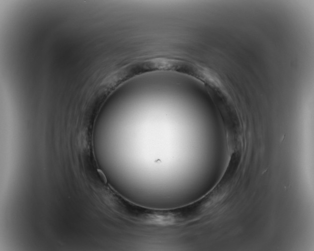 X0000086240317200704051224