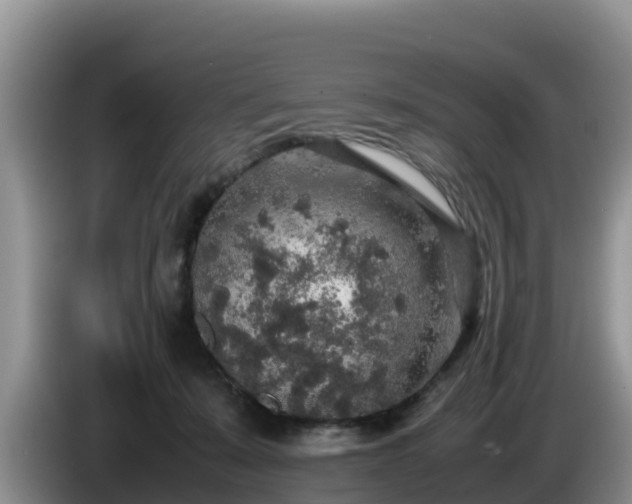 X0000086240319200704051224