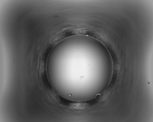 X0000086240323200704051224