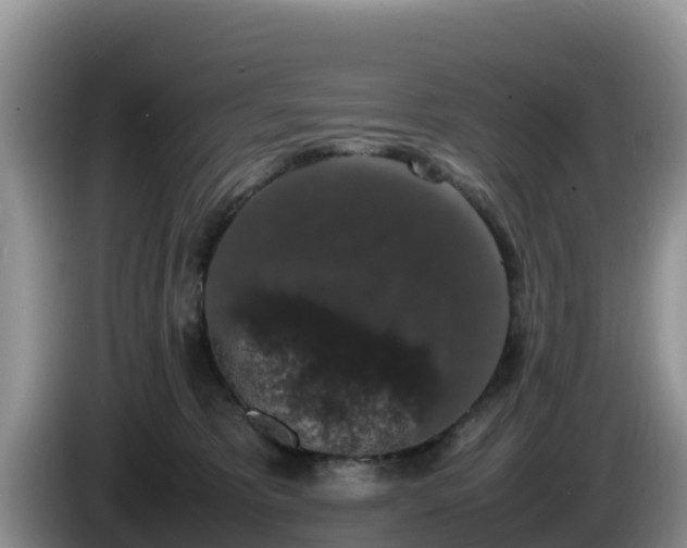 X0000086240325200704051224