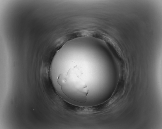 X0000086240329200704051224