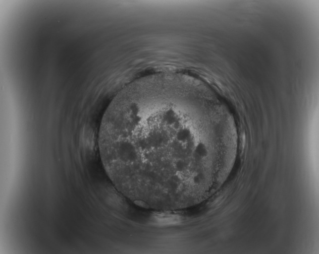 X0000086240331200704051224