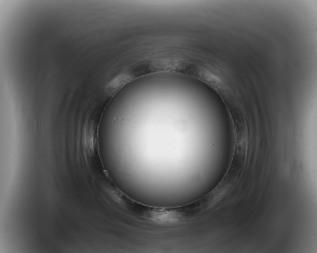 X0000086240334200704051224