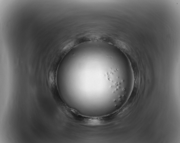 X0000086240335200704051224