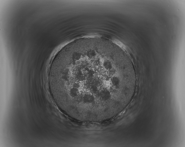X0000086240337200704051223